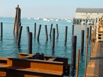 Tapertube piles in the water, ready for pier